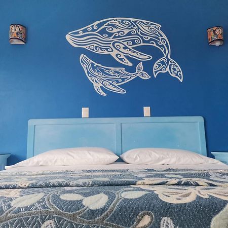 Hotel Quinta Mar Y Selva 恰卡拉 外观 照片
