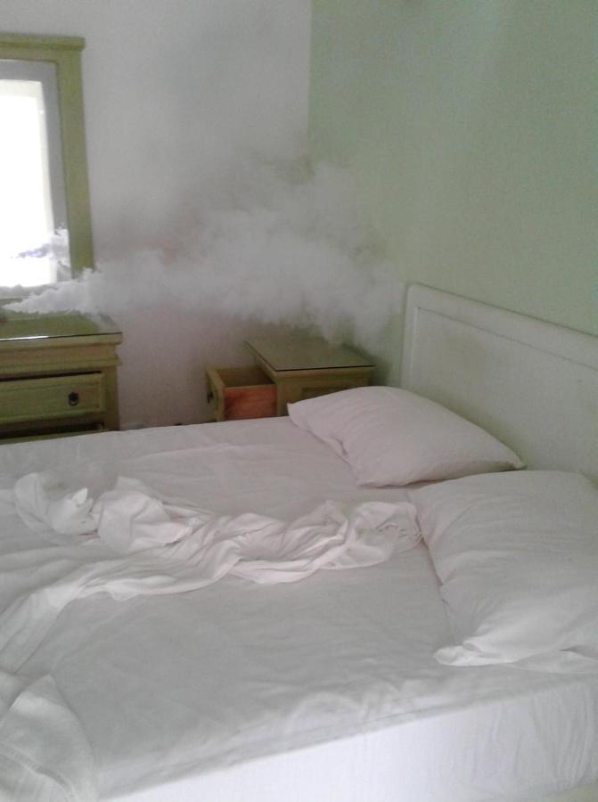 Hotel Quinta Mar Y Selva 恰卡拉 外观 照片
