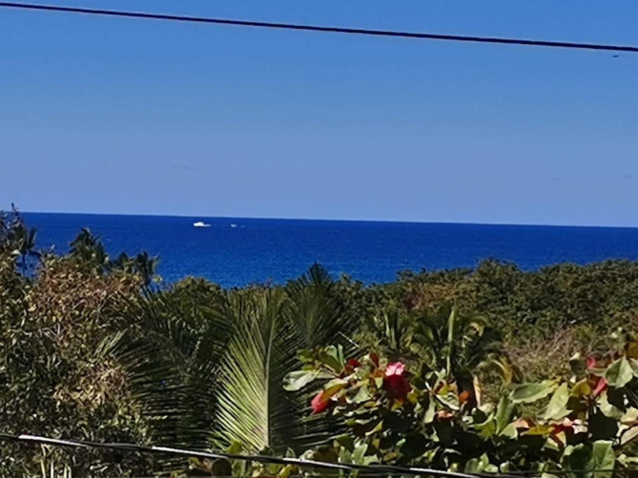 Hotel Quinta Mar Y Selva 恰卡拉 外观 照片