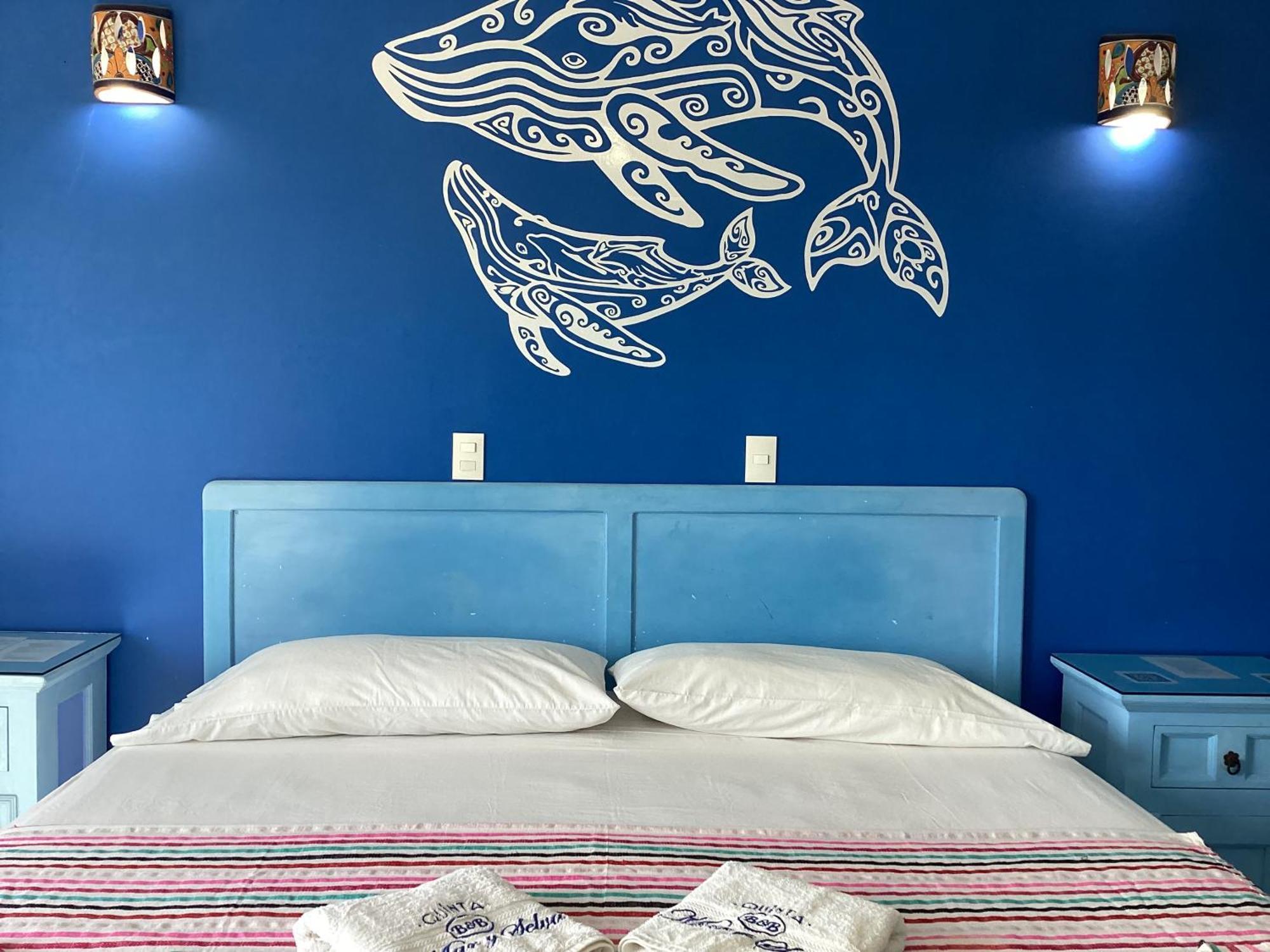 Hotel Quinta Mar Y Selva 恰卡拉 外观 照片