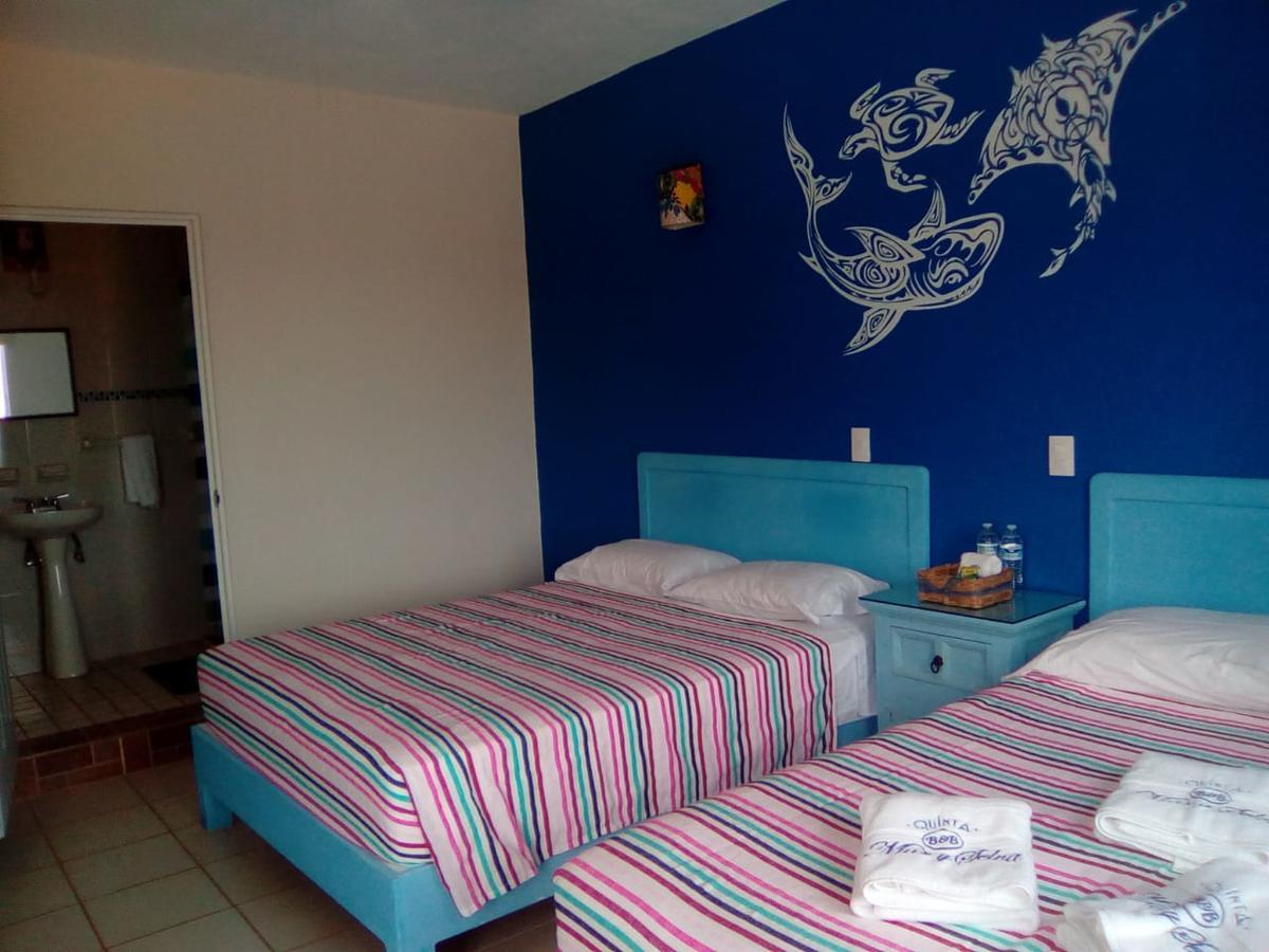 Hotel Quinta Mar Y Selva 恰卡拉 外观 照片