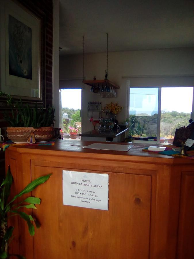 Hotel Quinta Mar Y Selva 恰卡拉 外观 照片