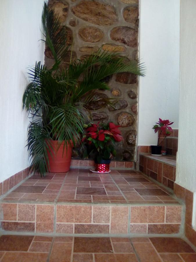 Hotel Quinta Mar Y Selva 恰卡拉 外观 照片