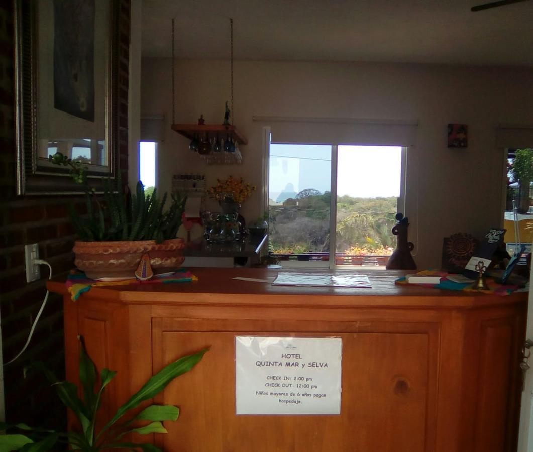 Hotel Quinta Mar Y Selva 恰卡拉 外观 照片
