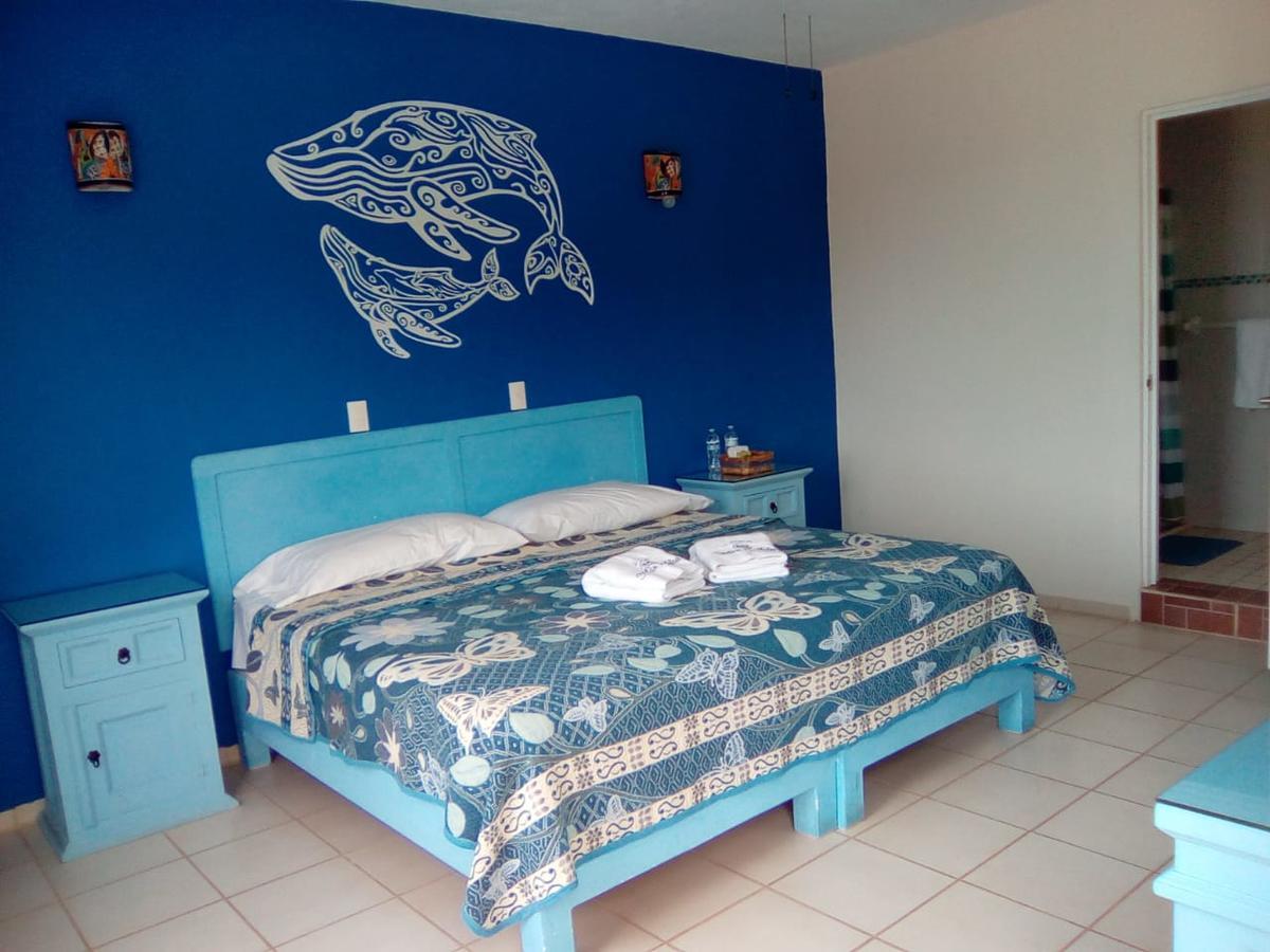 Hotel Quinta Mar Y Selva 恰卡拉 外观 照片