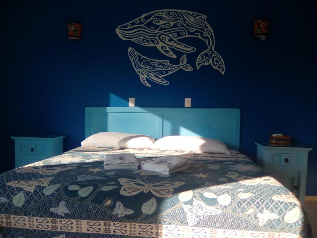 Hotel Quinta Mar Y Selva 恰卡拉 外观 照片