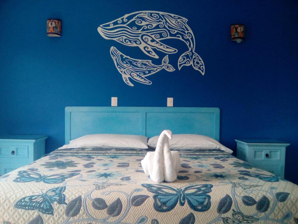 Hotel Quinta Mar Y Selva 恰卡拉 外观 照片